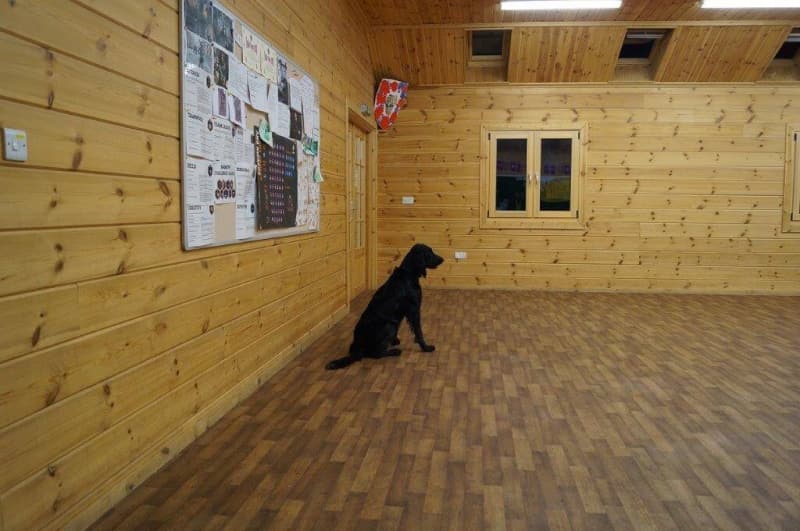 crestadogclub.seesite.biz_--_186290728