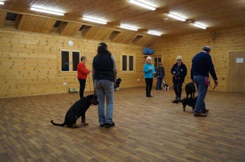 crestadogclub.seesite.biz_--_267411498