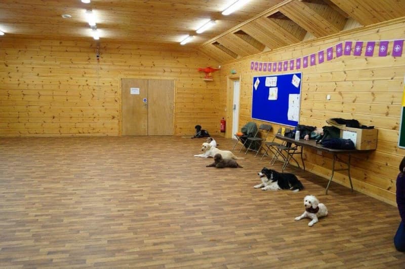 crestadogclub.seesite.biz_--_299416281