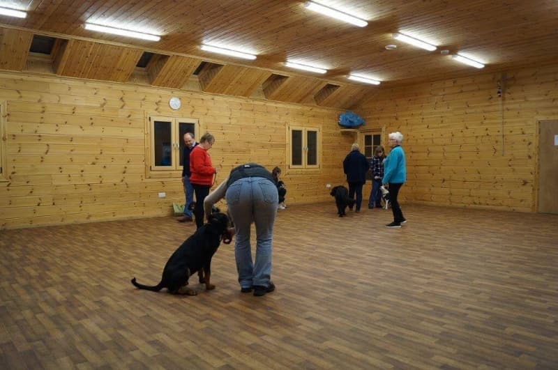 crestadogclub.seesite.biz_--_359399459