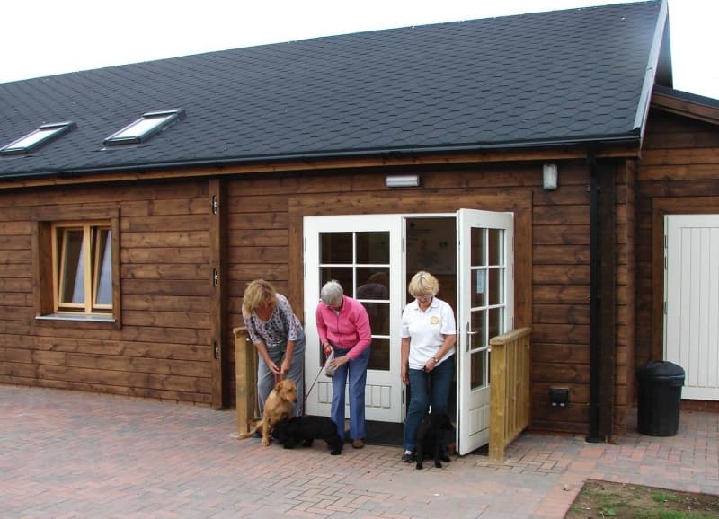 crestadogclub.seesite.biz_--_379527153