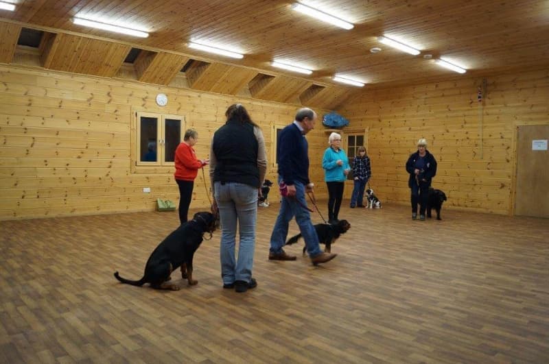 crestadogclub.seesite.biz_--_394893740