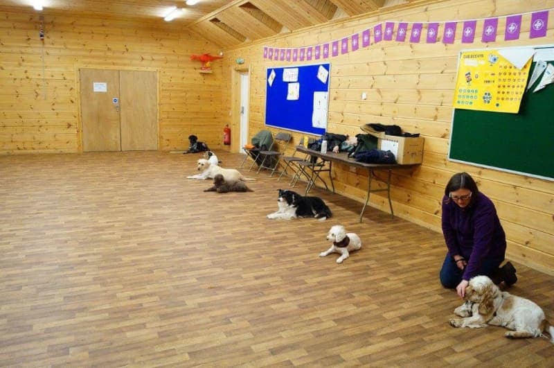 crestadogclub.seesite.biz_--_461031847