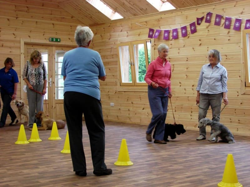 crestadogclub.seesite.biz_--_467644786