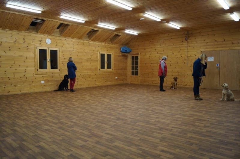 crestadogclub.seesite.biz_--_478244136