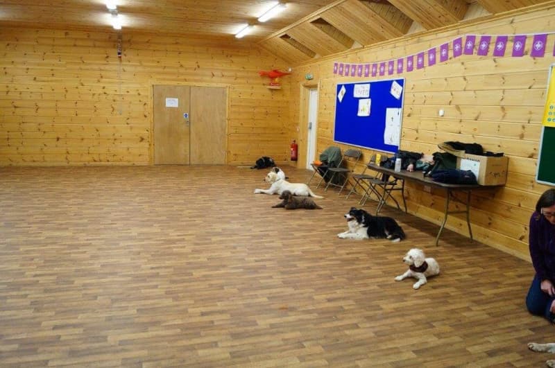 crestadogclub.seesite.biz_--_563497611