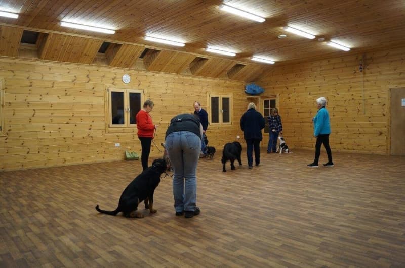 crestadogclub.seesite.biz_--_745539126