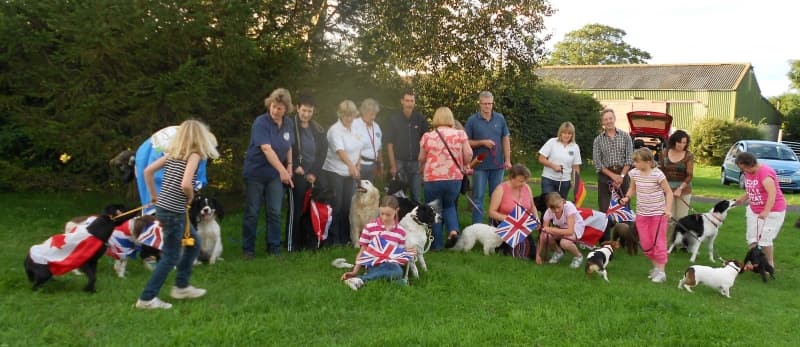 crestadogclub.seesite.biz_--_909669575